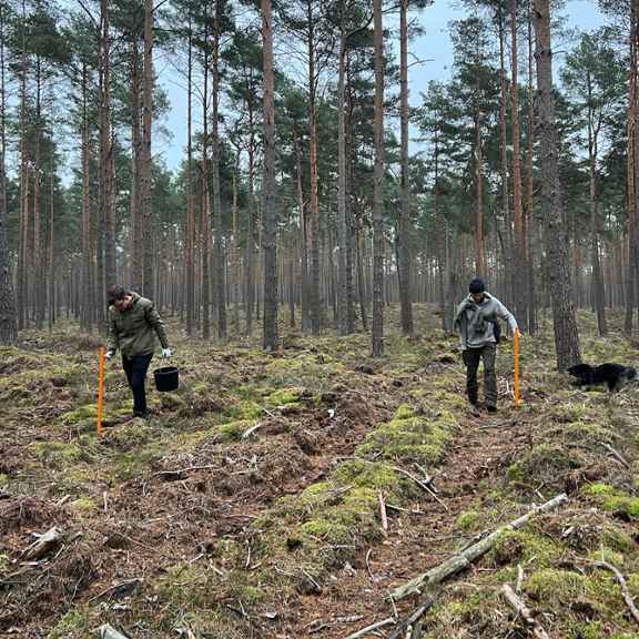 Two men are manually checking Skyseed's work in a forest.