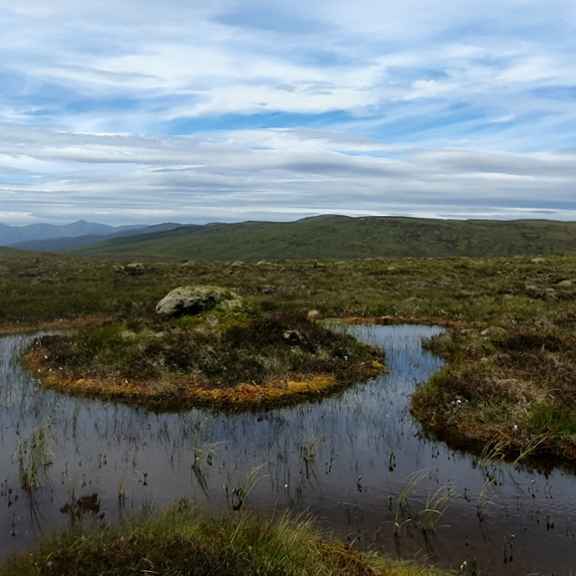 Dundreggan in Scotland.