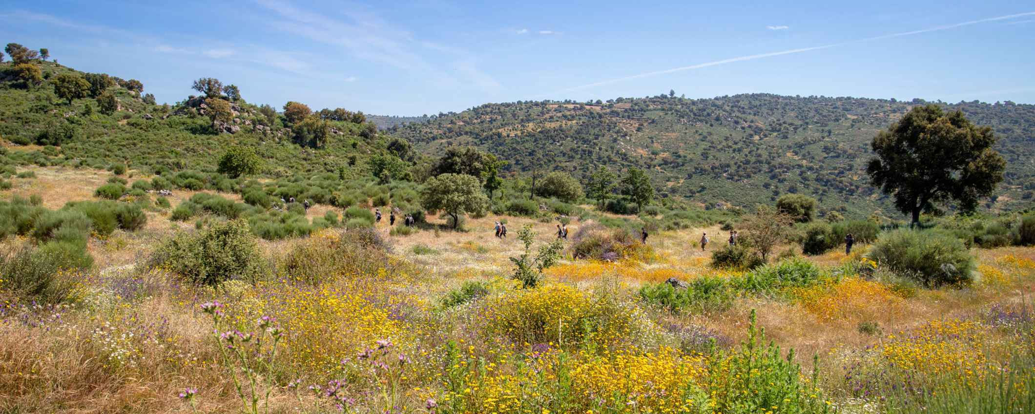 The Greater Côa Valley in Portugal.