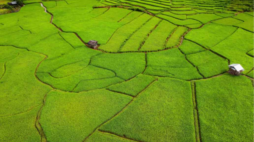 A landscape seen from above