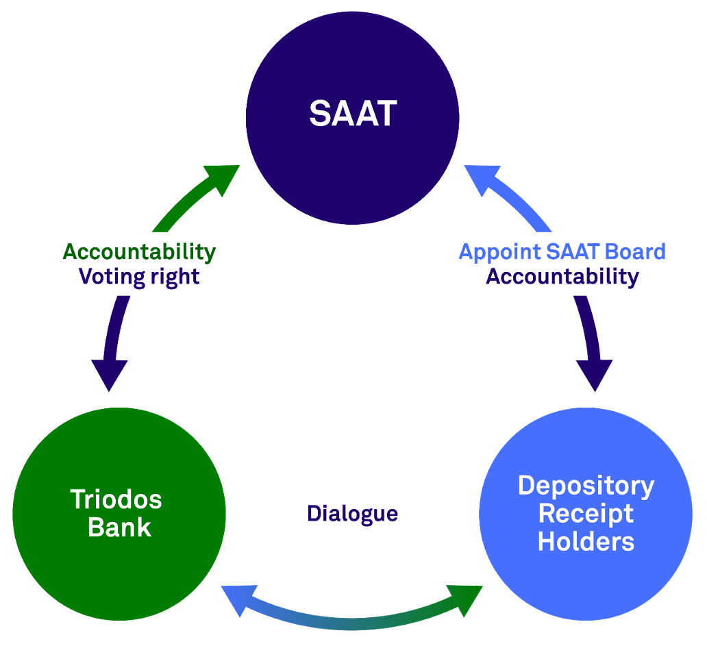 saat organisational structure