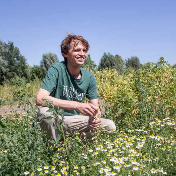 Tea that helps both farmers and biodiversity