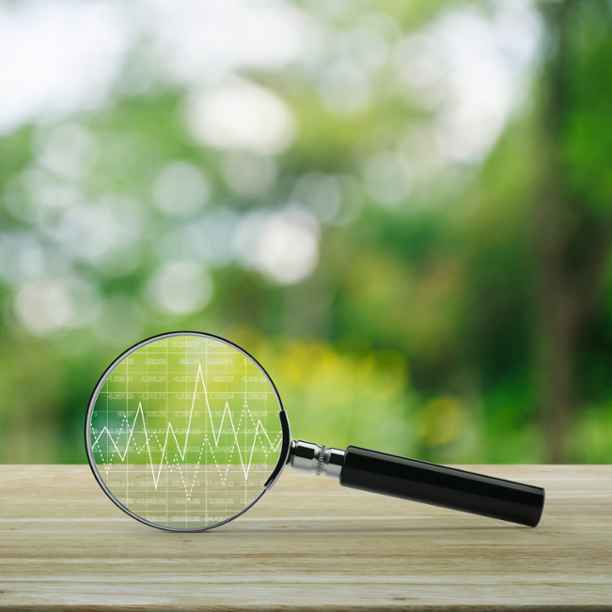 Triodos Bank signs petition to include directors’ duty of care in CSDDD