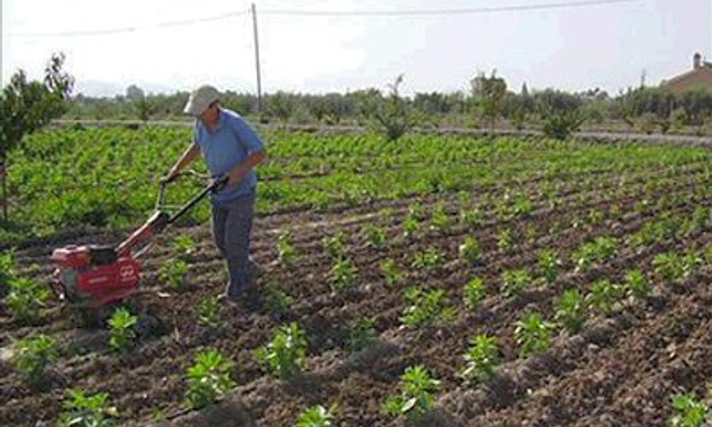 Asociación Valor Ecológico (Ecovalia)